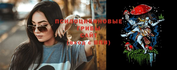 гашик Бородино