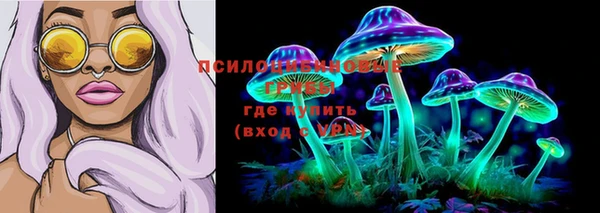 стафф Бугульма