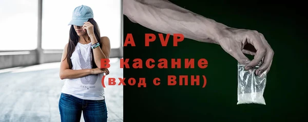гашик Бородино