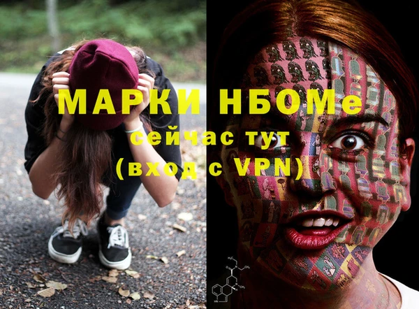 гашик Бородино