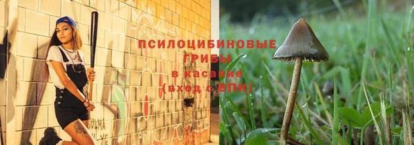 эйфоретик Богданович