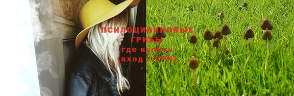 гашик Бородино