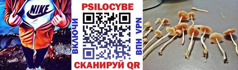 Галлюциногенные грибы прущие грибы  hydra ссылки  Гдов 